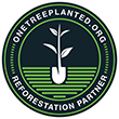 reforstation real Trees