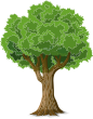 Tap or click the Tree